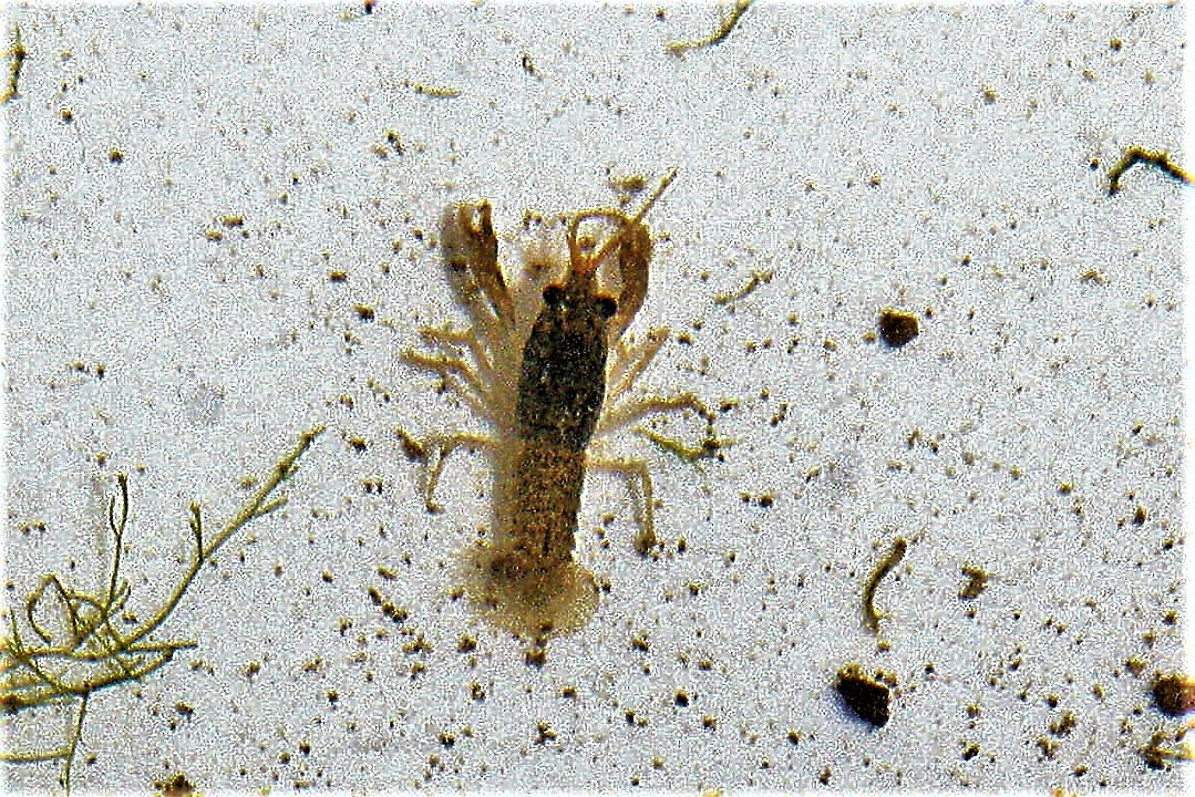 May_2019 055 (3).jpg